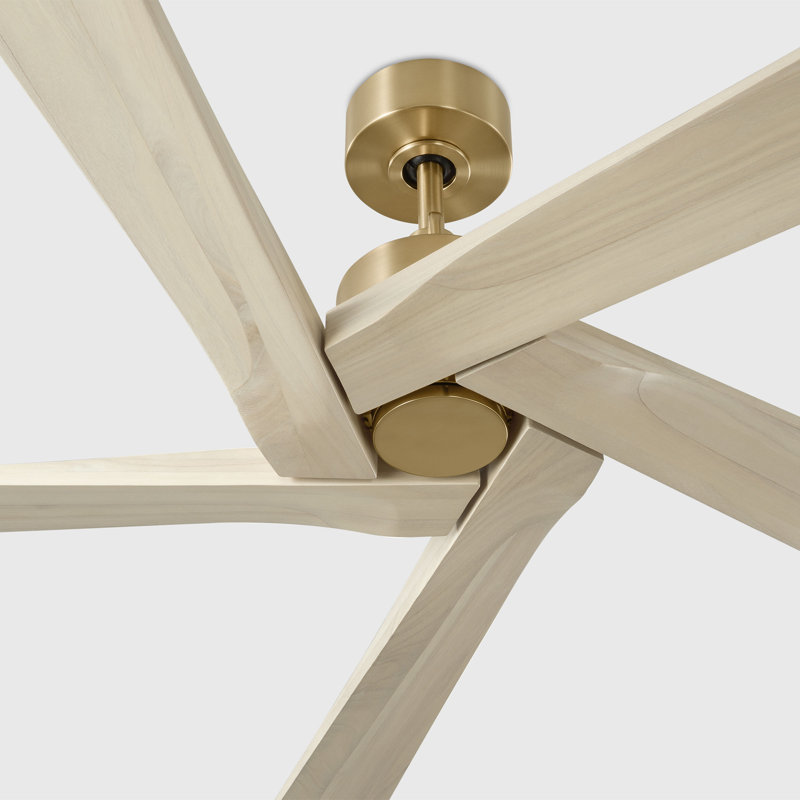 Visual Comfort Fan Aspen 56 Indoor Ceiling Fan with Natural Honey blades and Handheld Remote, Burnished Brass