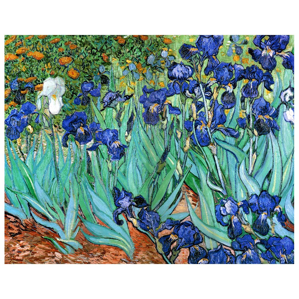 Leinwandbild Iris von Vincent Van Gogh