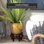 Vase de plancher en porcelaine Jalani-1165234724-1147349123