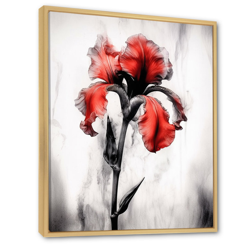 «Red Black Iris Petal I» sur toile, Cadre naturel flottant, H 40 po x l 30 po x P 1,5 po
