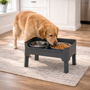 Gamelle surélevée ajustable pour chien avec 2 bols en acier inoxydable et plateau anti-glouton, 4 niveaux de hauteur, base antidérapante