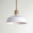 Paula 1 - Light Brass Single Pendant