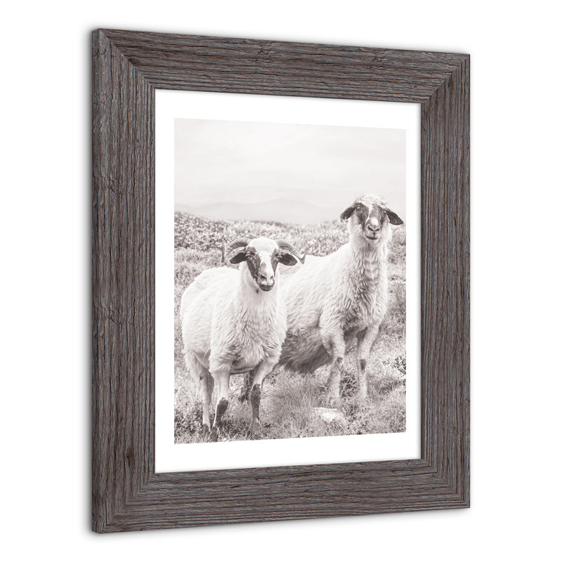 Sheep On Hill, reproduction encadrée, gris, H 14 po x l 11 po x P 0,75 po
