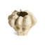 Timna Vase - Extra-Short-486665393