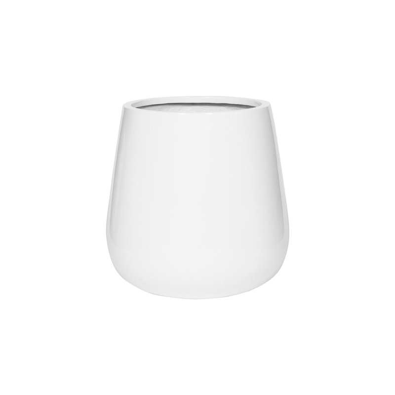 Pax M, blanc brillant