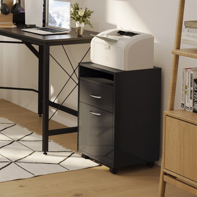 Pacie 40cm Wide 1 -Drawer File Cabinet