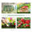 Outsunny 6' X 3' X 3' Portable Greenhouse, Garden Green House With 2 PE/Plastic Covers, Steel Frame And 2 Roll Up Windows, Green