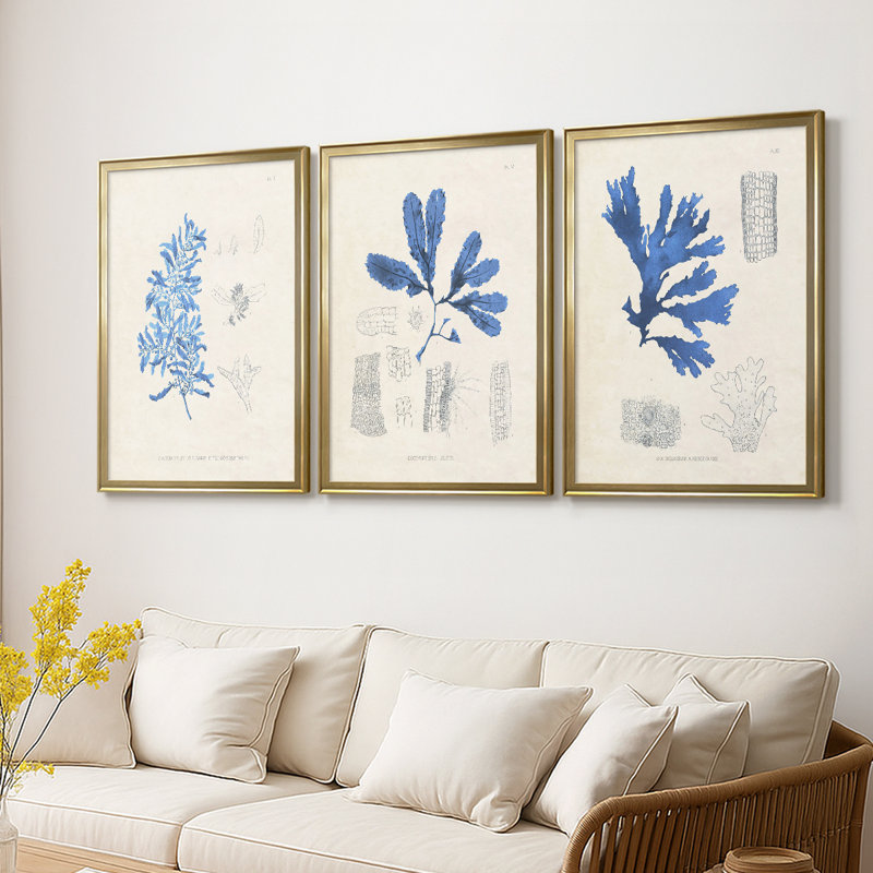 Blue Marine Algae VI - Toile tendue avec châssis sur mesure - 3 pièces, H 19 po x l 27 po, Doré