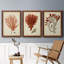 Antique Red Coral IV - Ensemble de 3 peintures sur toile encadrées-1301298118-1301298112