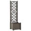 Lando Raised Garden Bed with Trellis-978723480