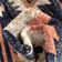Lorelee Moroccan Area Rug in Blue/White