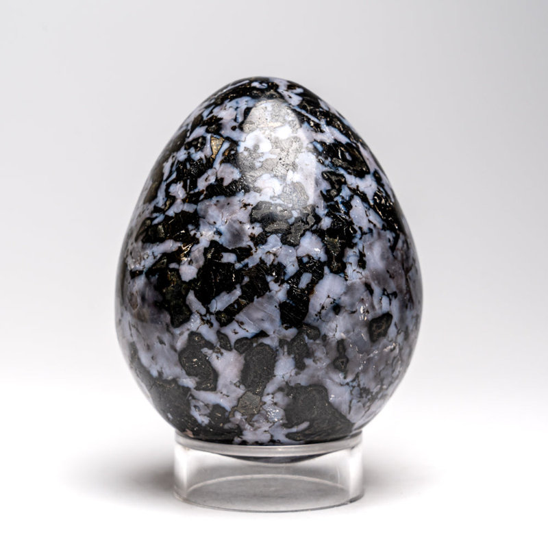 Véritable œuf de Gabbre indigo poli authentique de Madagascar (1,4 lb)