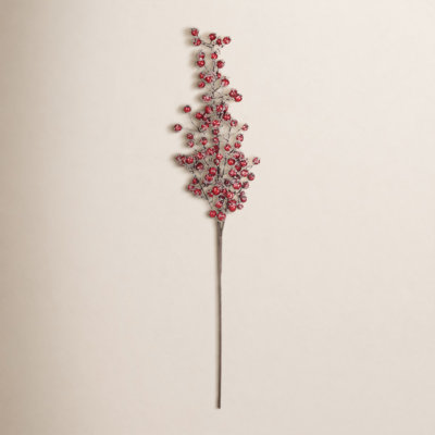 Brumbaugh Berries Stem