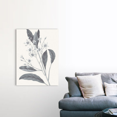 «Neutral Botanical V», art mural sur toile