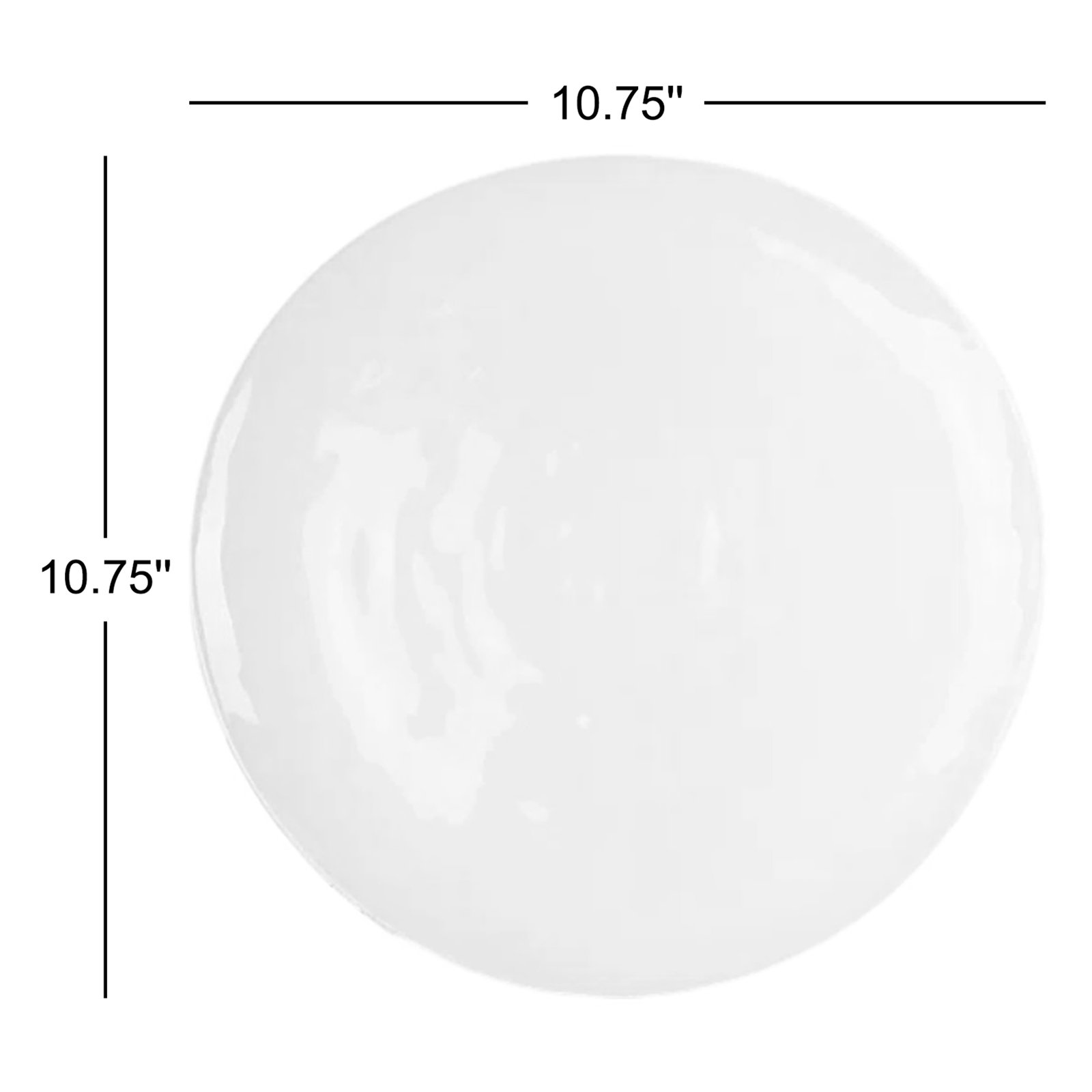 Max Organic Porcelain 10.75-Inch Dinner Plate