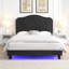 Upholstered Bed Button Tufted With Curve Design - Strong Wood Slat Support - Easy Assembly - Velvet - With LED Light-Platform Bed -