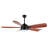 Reanda 57'' Ceiling Fan with LED Lights