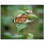 6'' x 6'' Satin Ceramic Decorative Mural