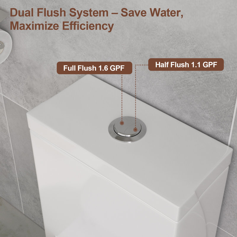 1.1/1.6 GPF Dual-Flush Elongated One-Piece Toilet with Ceramic Glazed Surface(Soft Close Seat Included)