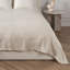 Anion Blanket-226283776