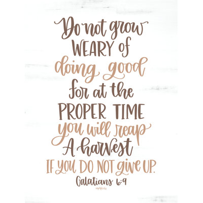 Do Not Grow Weary by Imperfect Dust