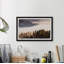 Into The Forest - Single Picture Frame Print-1815770413