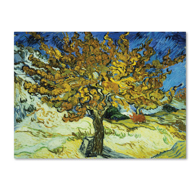 « the mulberry tree » par vincent van gogh, reproduction sur toile tendue