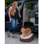 Rampe pour animal One Step