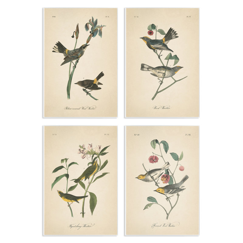 "Vintage Study Birds & Plants", ensemble d'art sur plaque par Wild Apple Portfolio, H 19 po x l 13 po