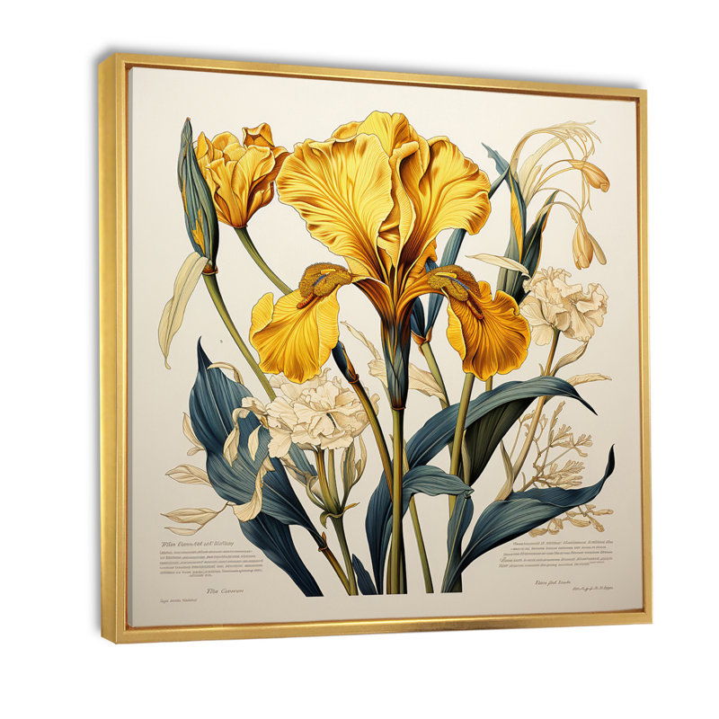 Iris jaune, illustration rétro, Cadre flottant doré, H 36 po x l 36 po x P 1,5 po