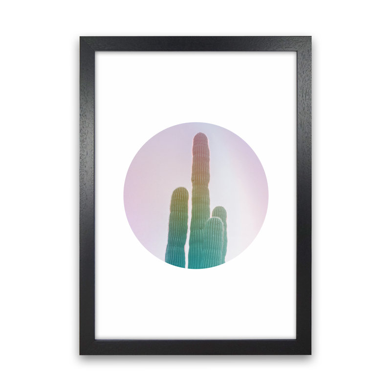 Circular Cacti - Print, 46cm H x 34cm W x 3cm D, Black Framed