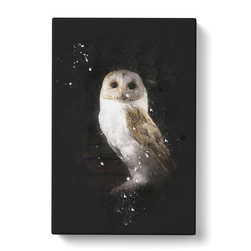 Barn Owl Vol.6 - Wrapped Canvas Print, 50cm H x 35cm W x 3cm D