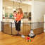 Priester 3-in-1 Arched Decorative Metal Superyard