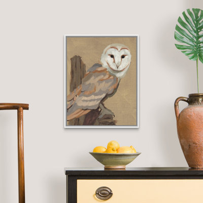«Common Barn Owl Portrait I» par Jacob Green - reproduction de photo