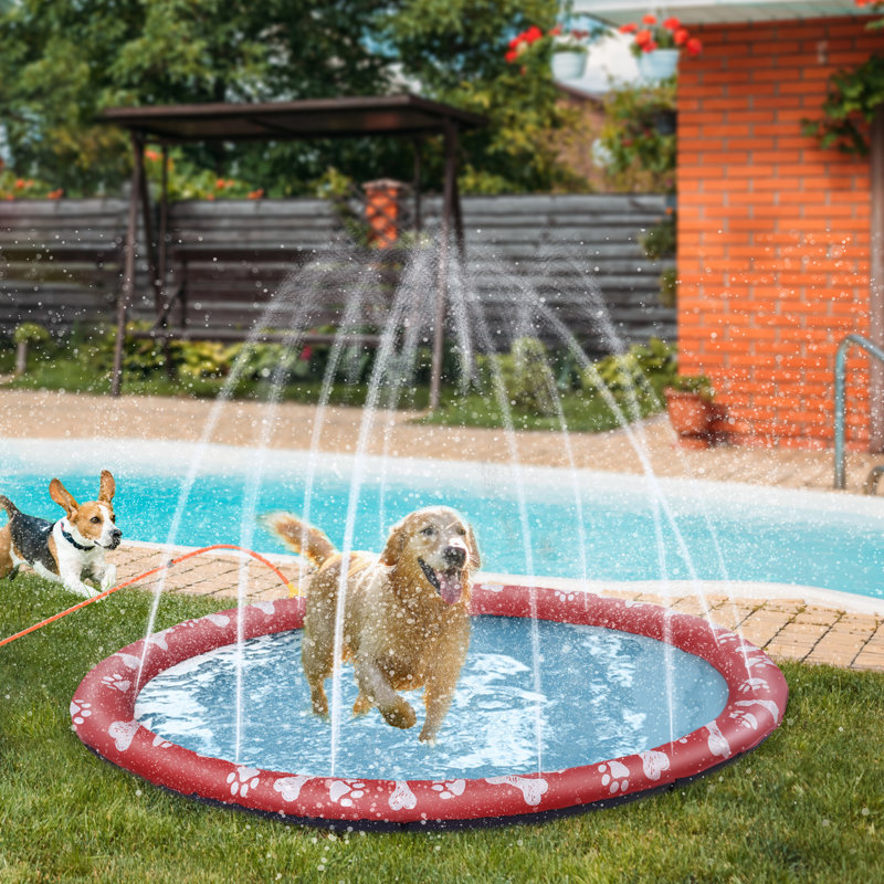 8cm Plastic Dog Pool, 1cm H x 170cm W x 170cm D