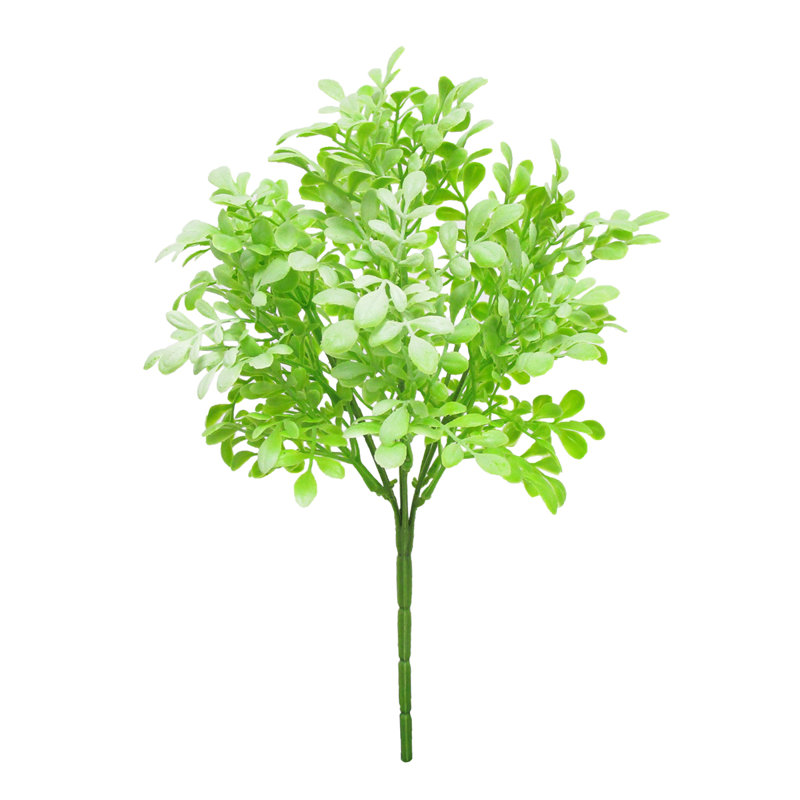 Plante à feuillage 14 po, Vert clair givré