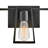 Arthurine 3 - Light Dimmable Vanity Light