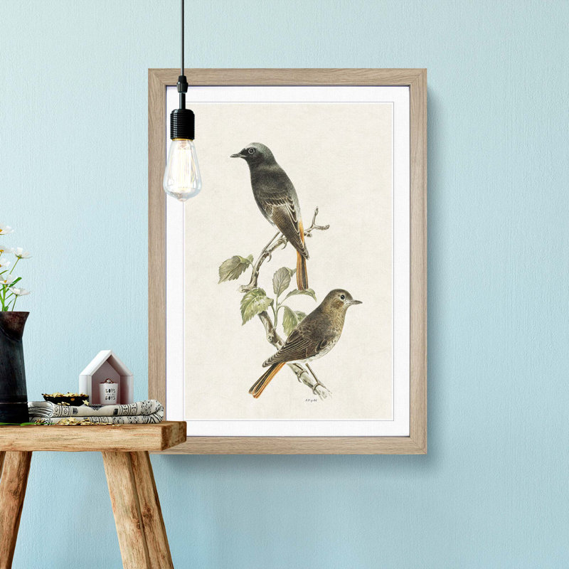 European Black Redstart by Von Wright - Picture Frame Painting Print, 48cm H x 36cm W x 2cm D, Oak Framed