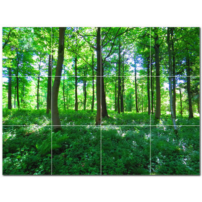 Photo murale décorative Arbres
