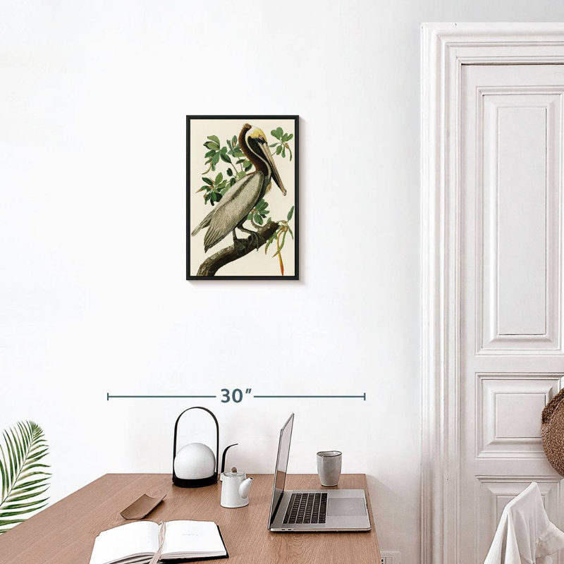 Pélican Audubon, 13 po x 19 po, Cadre flottant noir