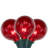 120'' Globe String Lights