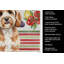 Torchon Cavapoo-322069799