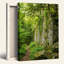 «Forest Path», reproduction d'art sur toile, ensemble de 1-129057692-129057697