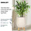 Idealist Plaited Style Egg Planter With Legs, Round Indoor Plant Pot Stand For Indoor Plants-2061484208-2061484222