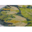 Vintage One-of-a-Kind 3'1X4'9 Hand Knotted Area Rug