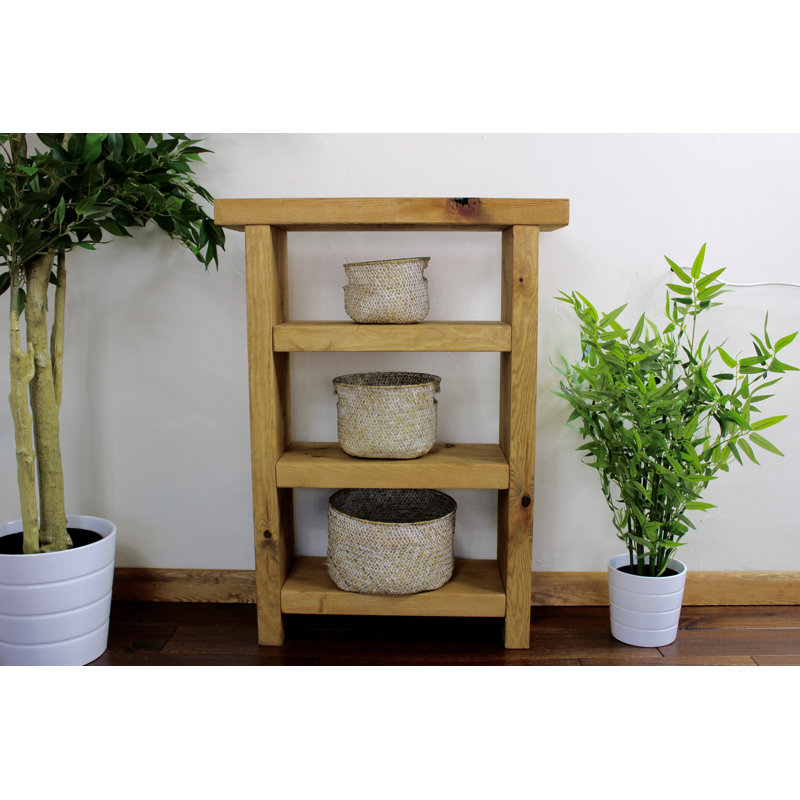 Petrucci 100cm H x 60cm W Solid Wood Standard Bookcase