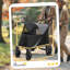 Foldable Pet Pet Stroller