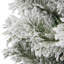 Anastaisha 6.99' H Artificial Christmas Tree