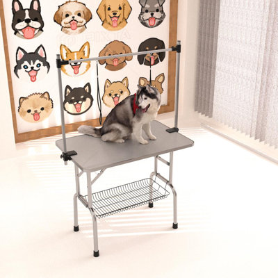 Pet Grooming Table (Silver Gray)