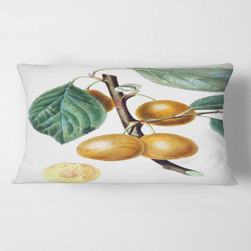 Coussin Rectangle, Vintage Fruits II - Farmhouse